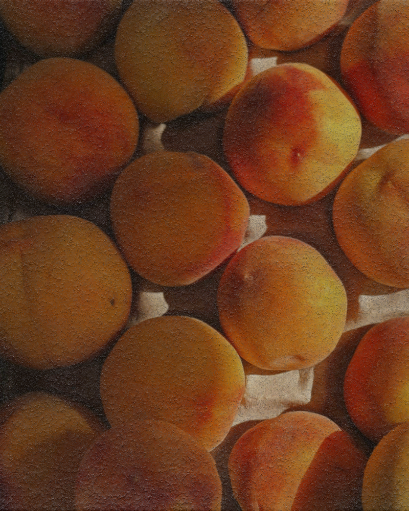 Apricot Oil